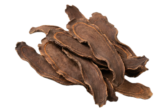 Chain Fern Rhizome (Gou Ji), dried herb