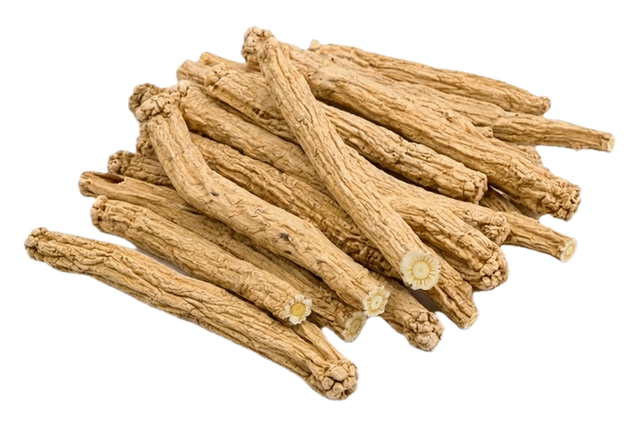 Codonopsis Root (Dang Shen), dried herb