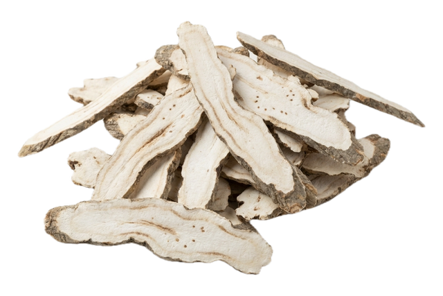 Dahurian Angelica Root (Bai Zhi), dried herb