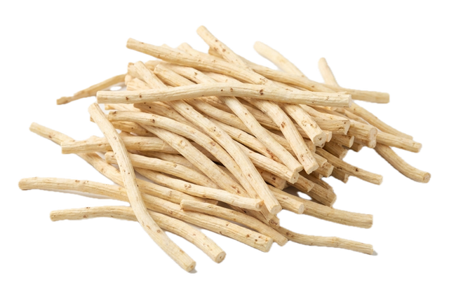 Glehnia Root (Bei Sha Shen), dried herb