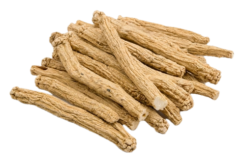 Codonopsis Root (Dang Shen), dried herb
