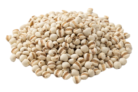 Coix Seed (Yi Yi Ren), dried herb