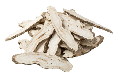 Dahurian Angelica Root (Bai Zhi), dried herb