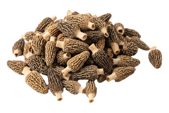Morel Mushroom (Yang Du Jun), dried herb