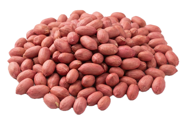 Peanut (Hua Sheng), dried herb