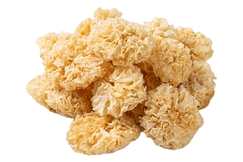 White Fungus (Yin'Er), dried herb