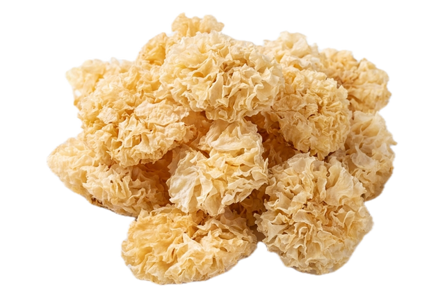 White Fungus (Yin'Er), dried herb